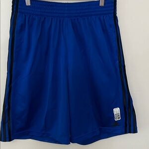 adidas Men's Triple Up Basketball Shorts 10" Inseam Royal Blue Size Large